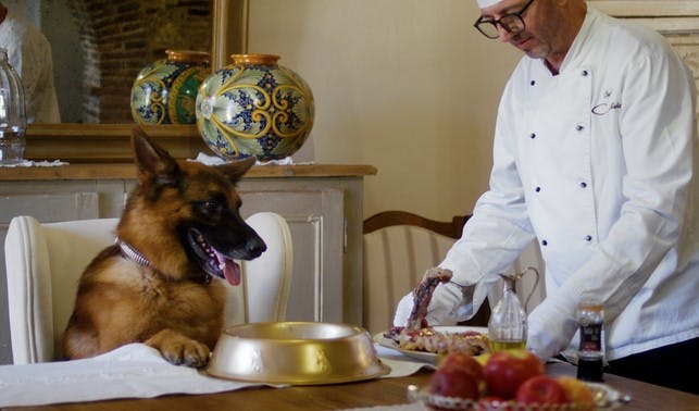 Chef prepared Steak Dinner with gold leaf for Gunther 