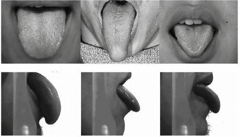 Different tongue shapes and prints
