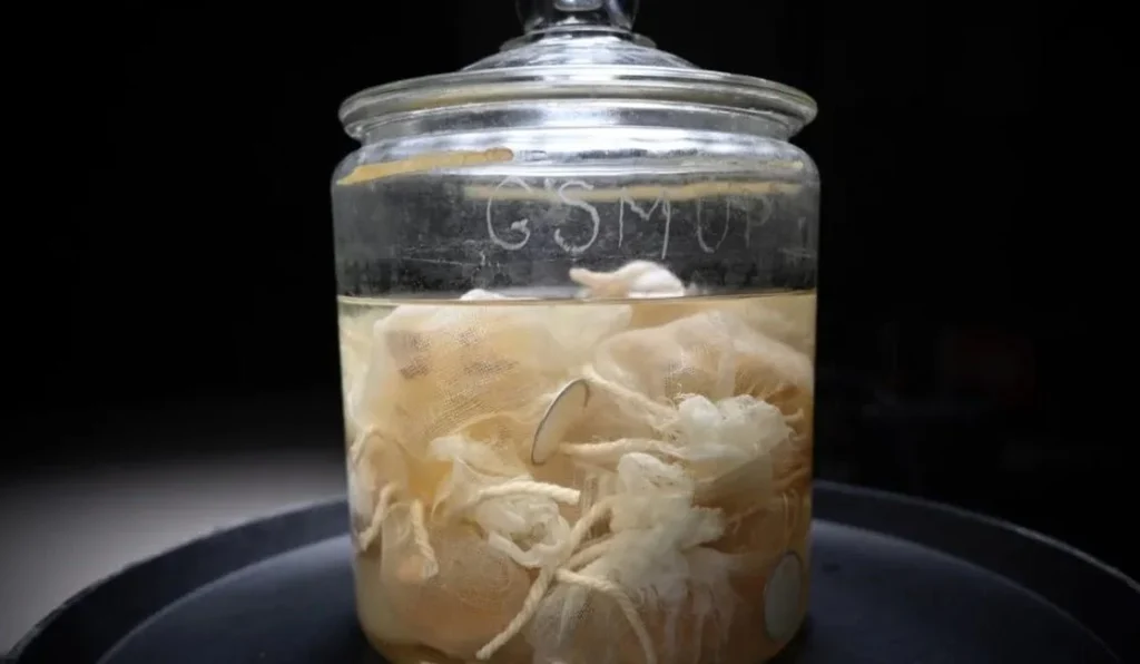 Einstein's Brain in a Jar
