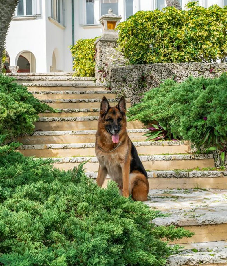 Gunther VI on the steps of his mansion 