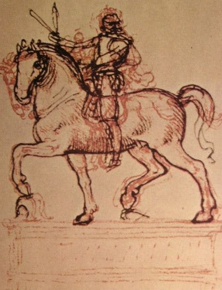 Leonardo Da Vinci's drawing 