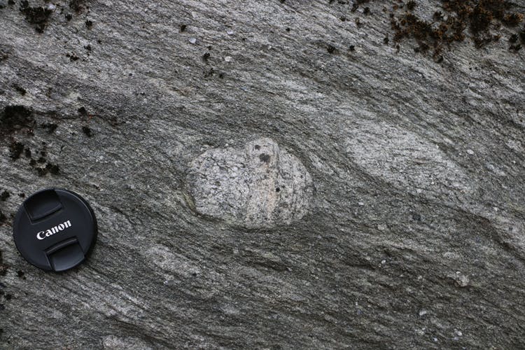 Outsized clasts in foliated metadiamictite of the Fauquier Formation, Virginia Blue Ridge.
