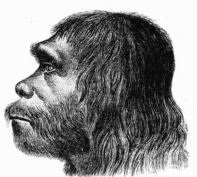 Reconstruction of a Neanderthal man