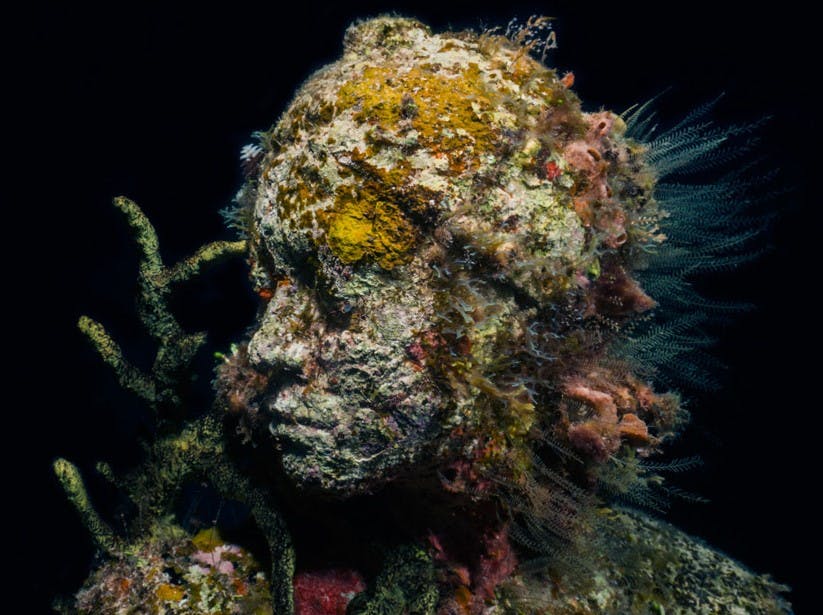 'Silent Evolution' by Jason deCaires Taylor. MUSA, Mexico 