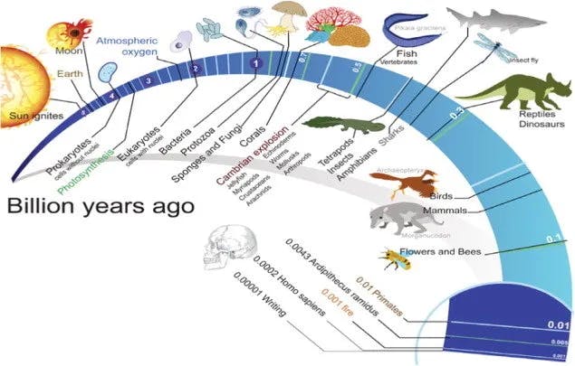 Timeline of evolution of life on Earth.
(Ashraf, Muhammad. (2015))